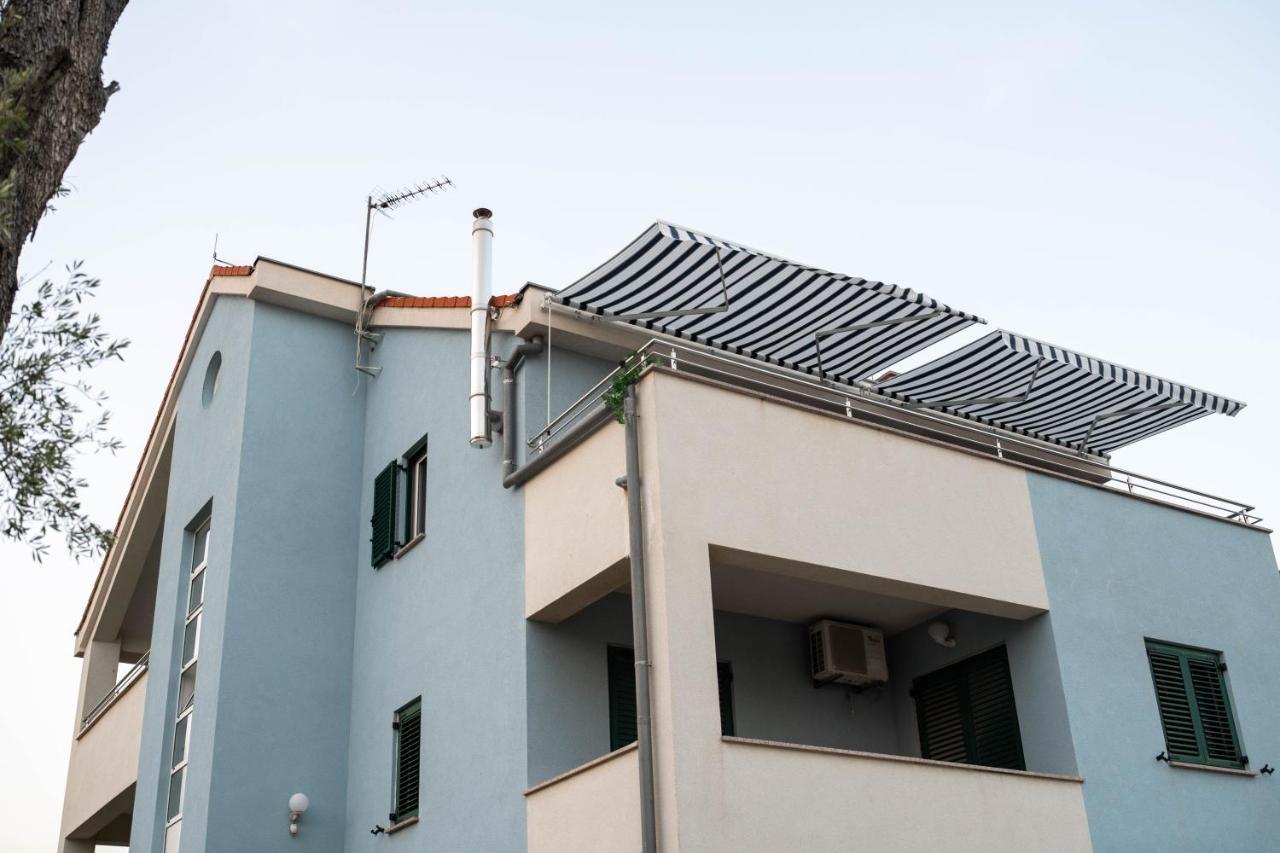 Sunny Beach Apartments 希贝尼克 外观 照片